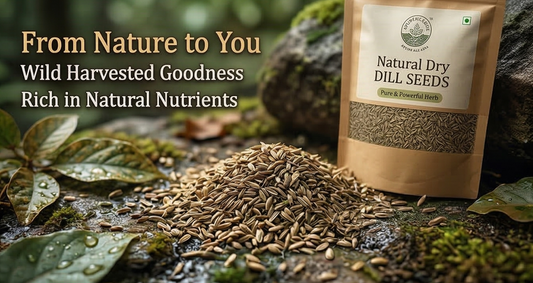 Natural Dry Dill Seeds 100gm - Suva Seeds - Organic Fresh Sowa - Traditional Indian Superfood - Shepu Sathakuppai